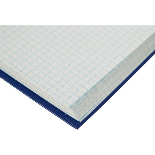 Книга учета 120 листов А4 в клетку блок типографская бумага Выбор есть (обложка из бумвинила)