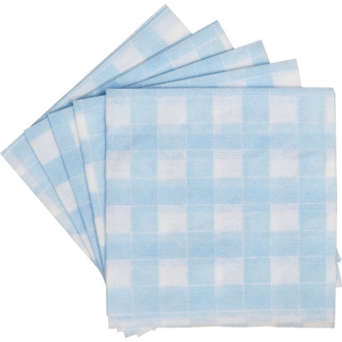 Салфетки хозяйственные повышенной впитываемости Paclan вискоза 35x35 см 50 г/кв.м 5 штук в упаковке 410121 410121