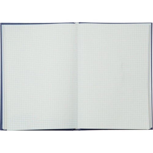 Книга учета 120 листов А4 в клетку блок типографская бумага Выбор есть (обложка из бумвинила)