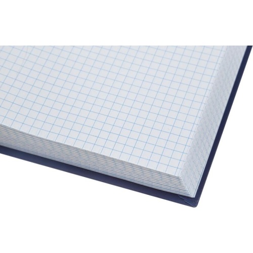 Книга учета 120 листов А4 в клетку на сшивке блок офсет (обложка - бумвинил) Книга учета 120 листов А4 в клетку на сшивке блок офсет (обложка - бумвинил)