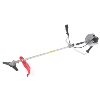 700d8297-e30b-11ef-b777-00505604