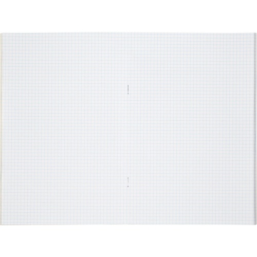 Книга учета 48 листов А4 в клетку на скрепке блок типографская бумага Выбор есть (обложка из картона