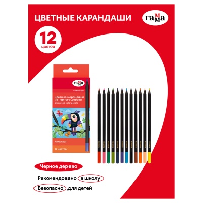 80220221-80220221059886_2