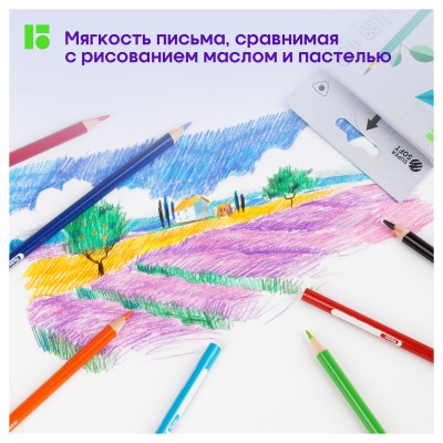 SS00512-00040832_2