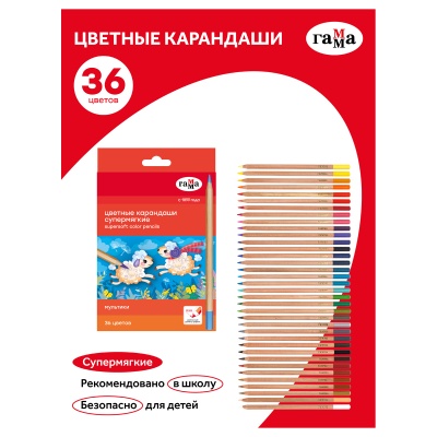 80220219-80220219059894_2