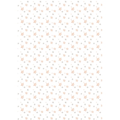 344963-344963062322_2