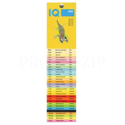 Бумага IQ color, А4, 160 г/м2, 100 л. (5 цв. x 20 л.), цветная интенсив RB02